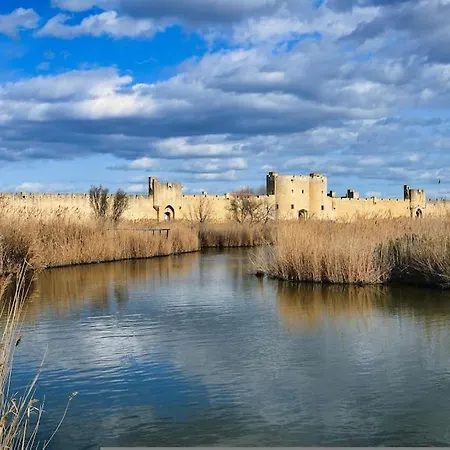 Hébergement de vacances La Maison Fayard - Maison Entière Aux Portes De La Camargue Saint-Gilles (Gard)