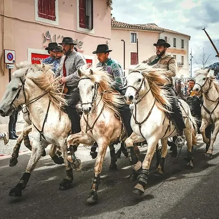 La Maison Fayard - Maison Entière Aux Portes De La Camargue Hébergement de vacances *